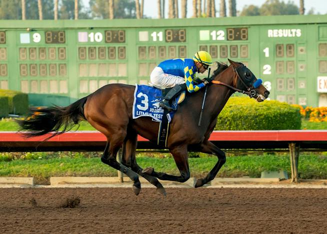 Horse Racing Testing Litmus Test - Horse Profiles: Pedigree, Stats, Results & Past ...