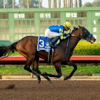 Litmus Test justified 3-5 favoritism in the Los Alamitos Futurity (G2)