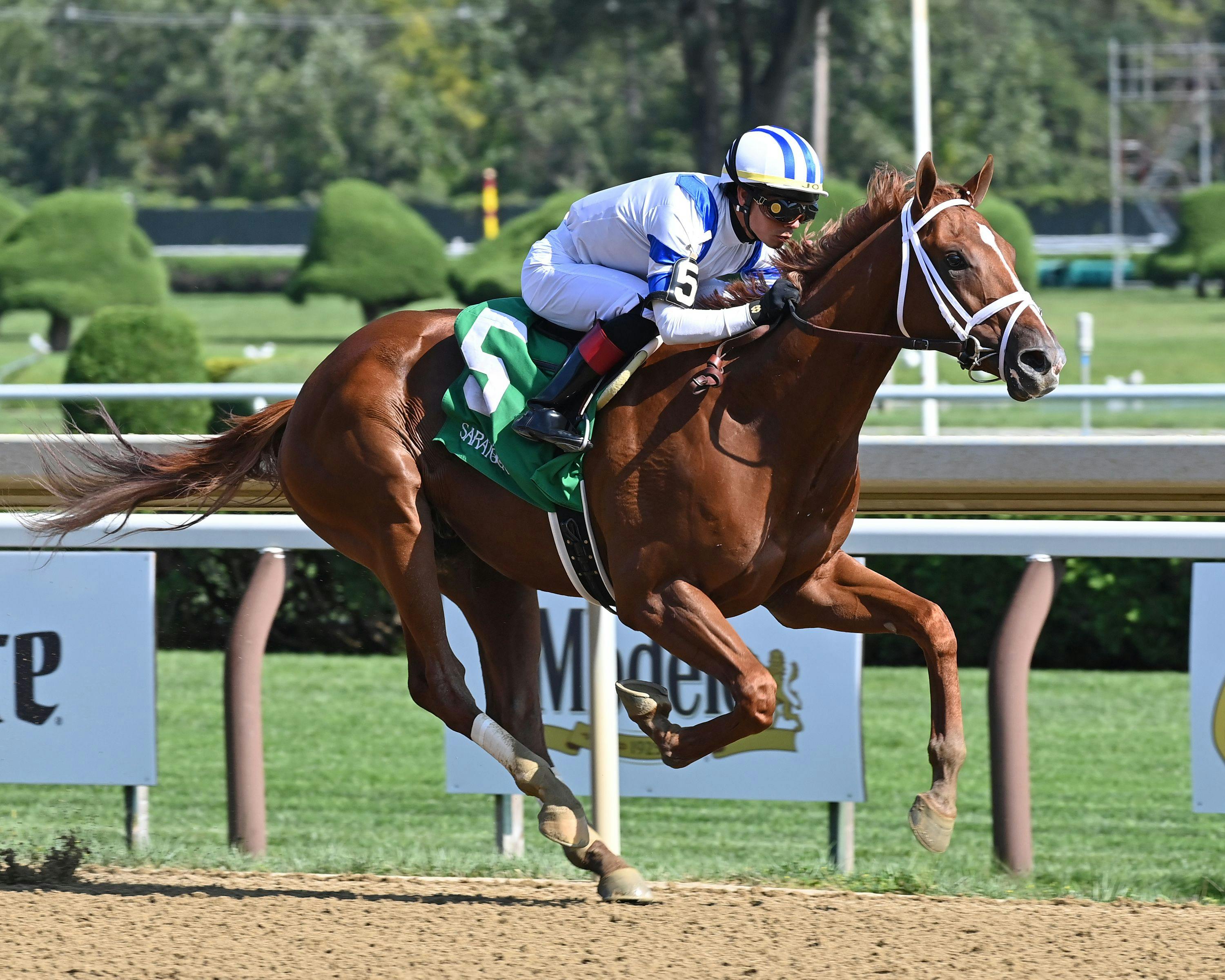 Breeders' Cup Juvenile Maiden Watch Locked finishes fast at TwinSpires