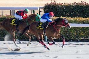 Lucky Kid winning the Hyacinth S. at Tokyo Racecourse