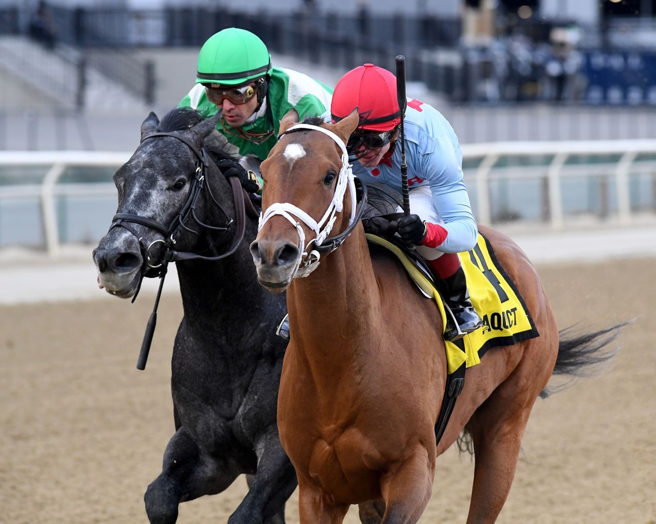 Kentucky Derby Pedigree Profile: Lugan Knight | TwinSpires