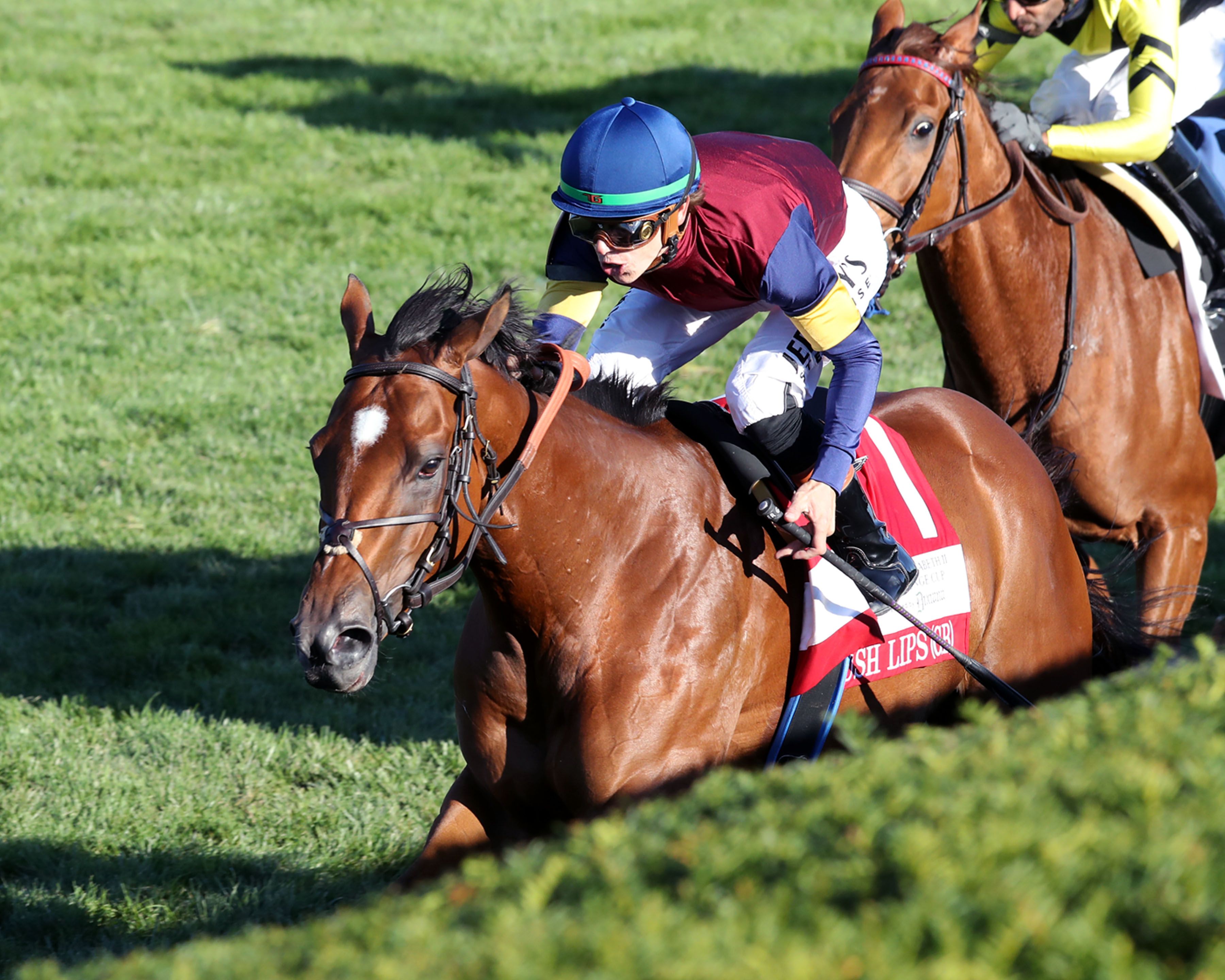 Lush Lips defeats Laurelin in the Queen Elizabeth II Challenge Cup (G1)