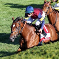 Lush Lips defeats Laurelin in the Queen Elizabeth II Challenge Cup (G1)