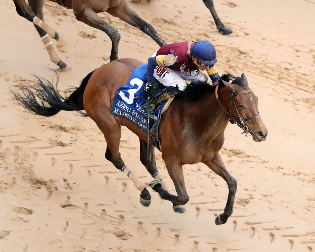 Majestic Oops wins the Azeri Stakes at Oaklawn Park.