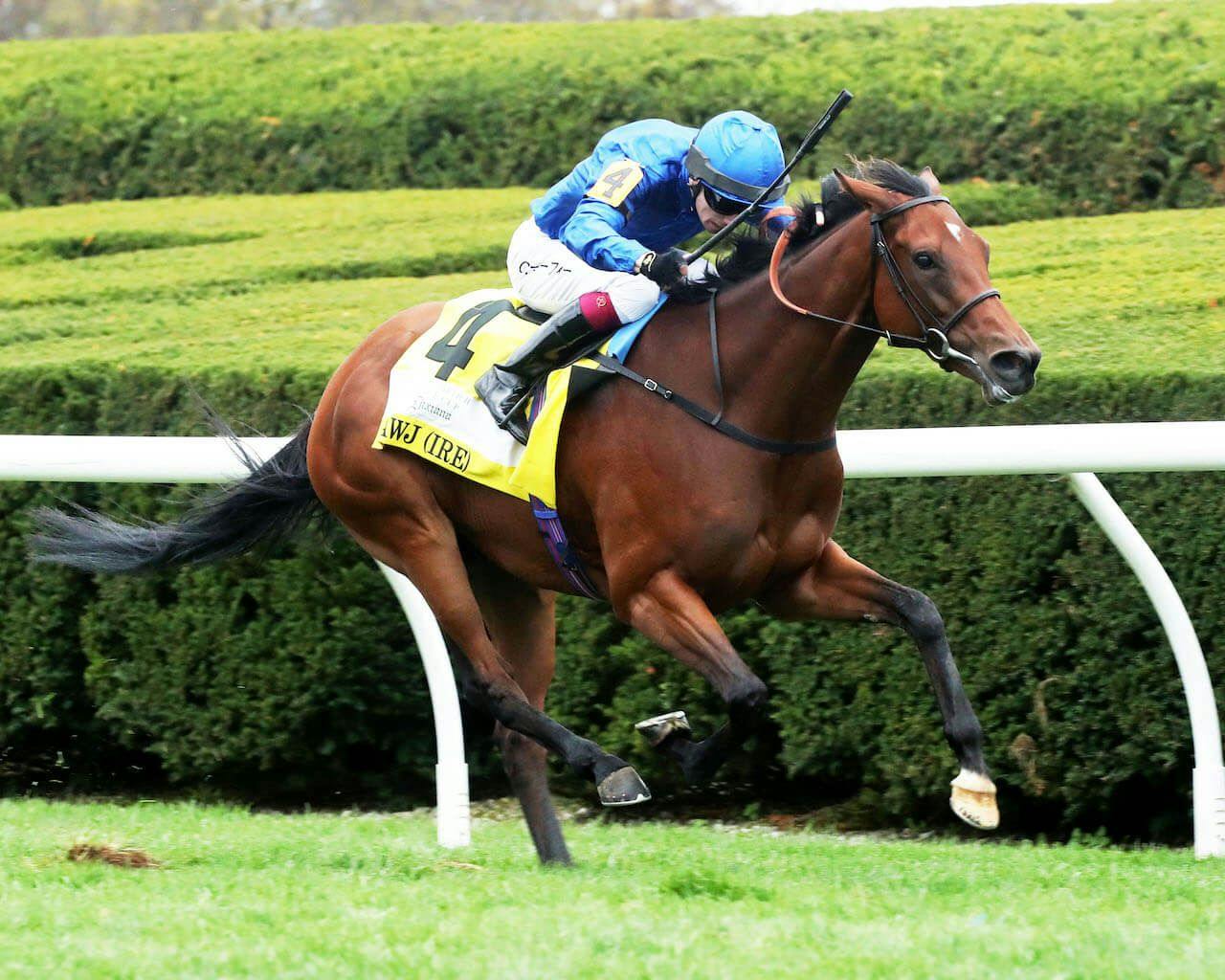 Mawj winning the Queen Elizabeth II Challenge Cup (G1) at Keeneland (Photo by Coady Photography)