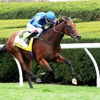 Mawj winning the Queen Elizabeth II Challenge Cup (G1) at Keeneland (Photo by Coady Photography)