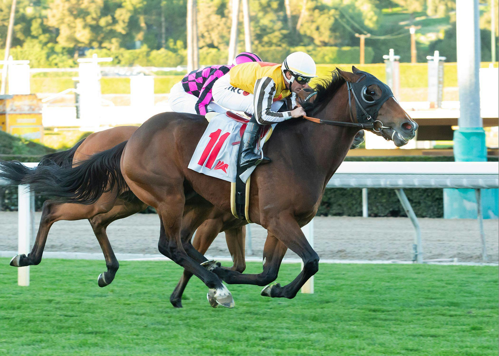 Medici wins at Santa Anita.