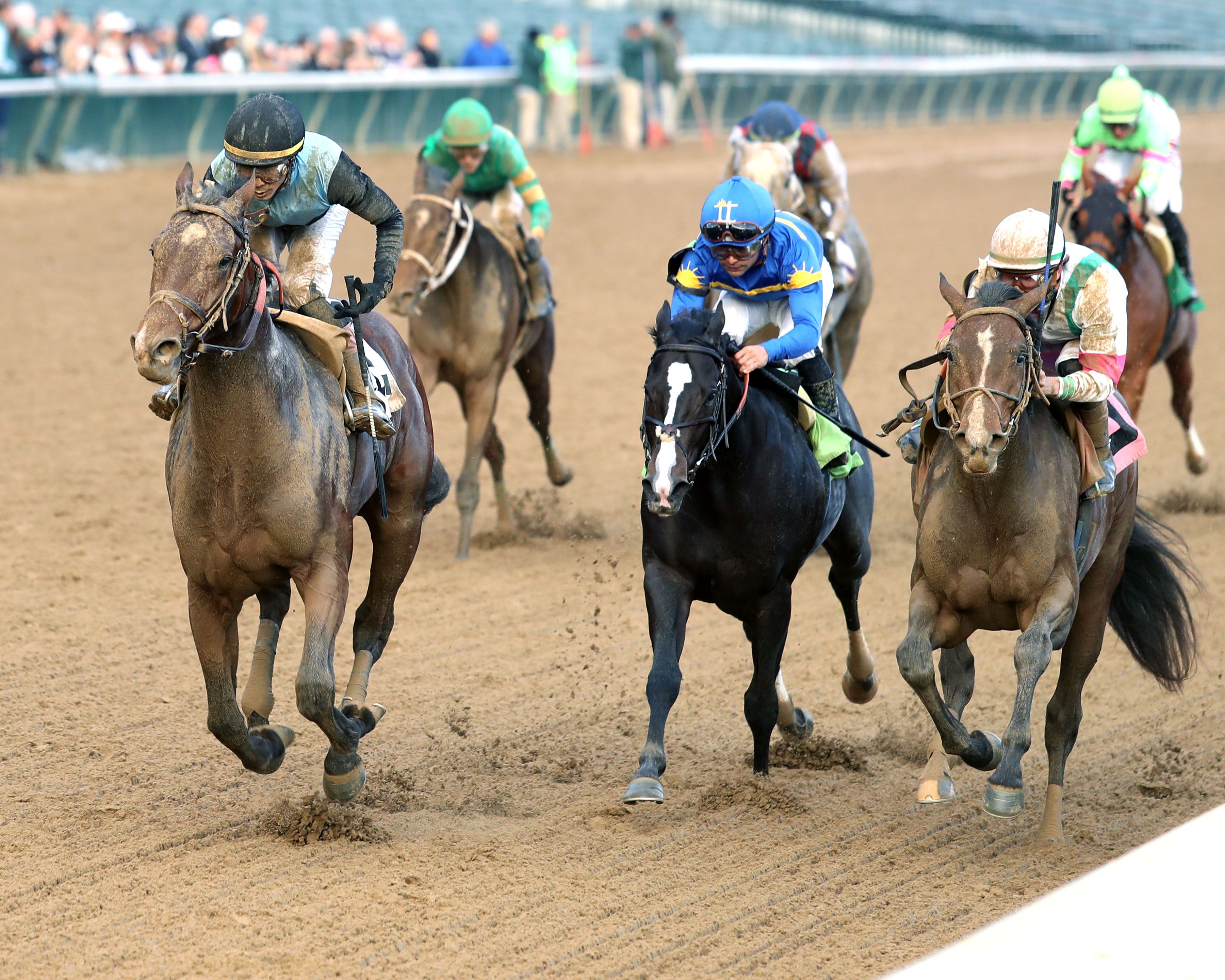 Mesquite wins at Churchil Downs. 