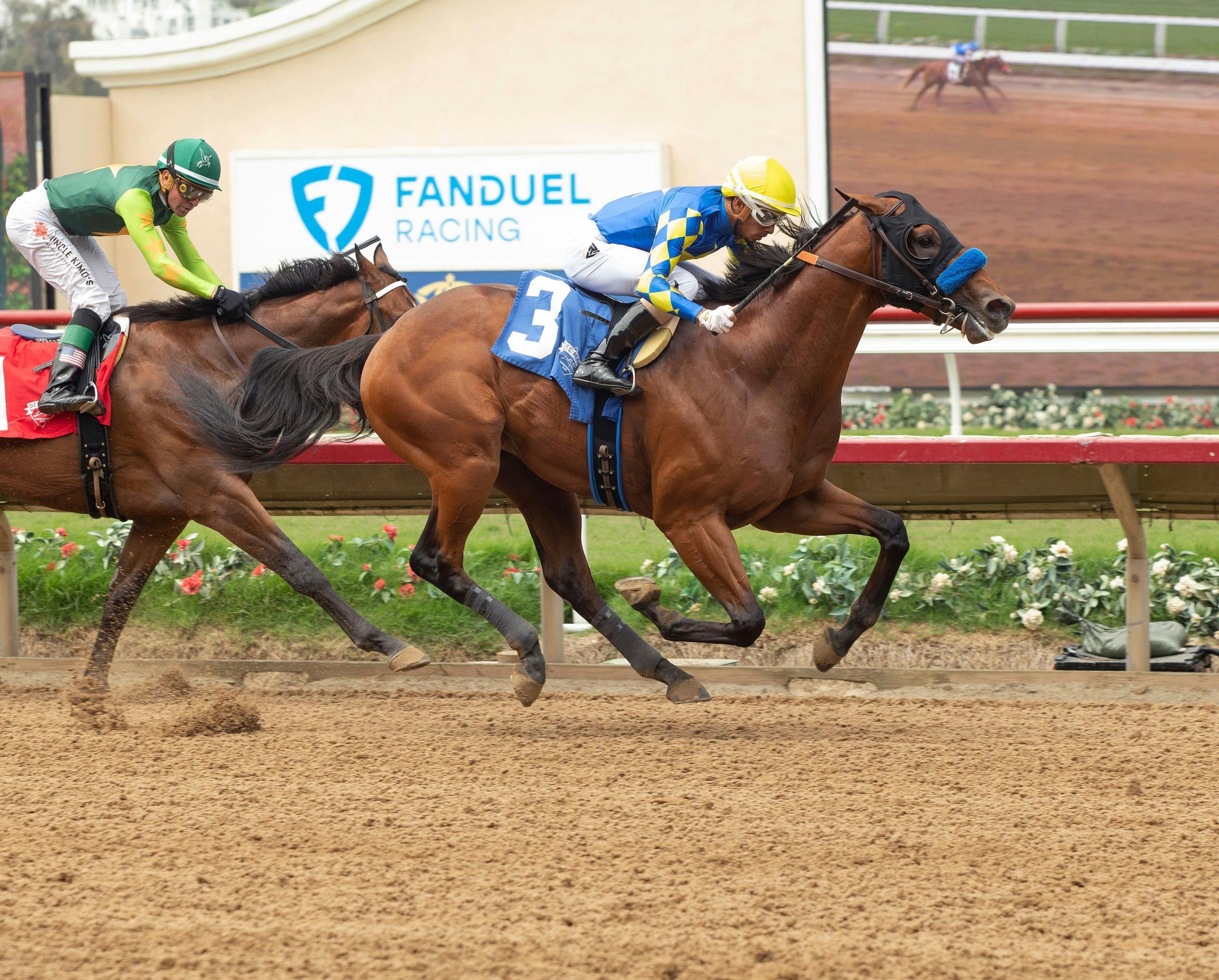 Meet the Contenders 2024 Withers Stakes TwinSpires