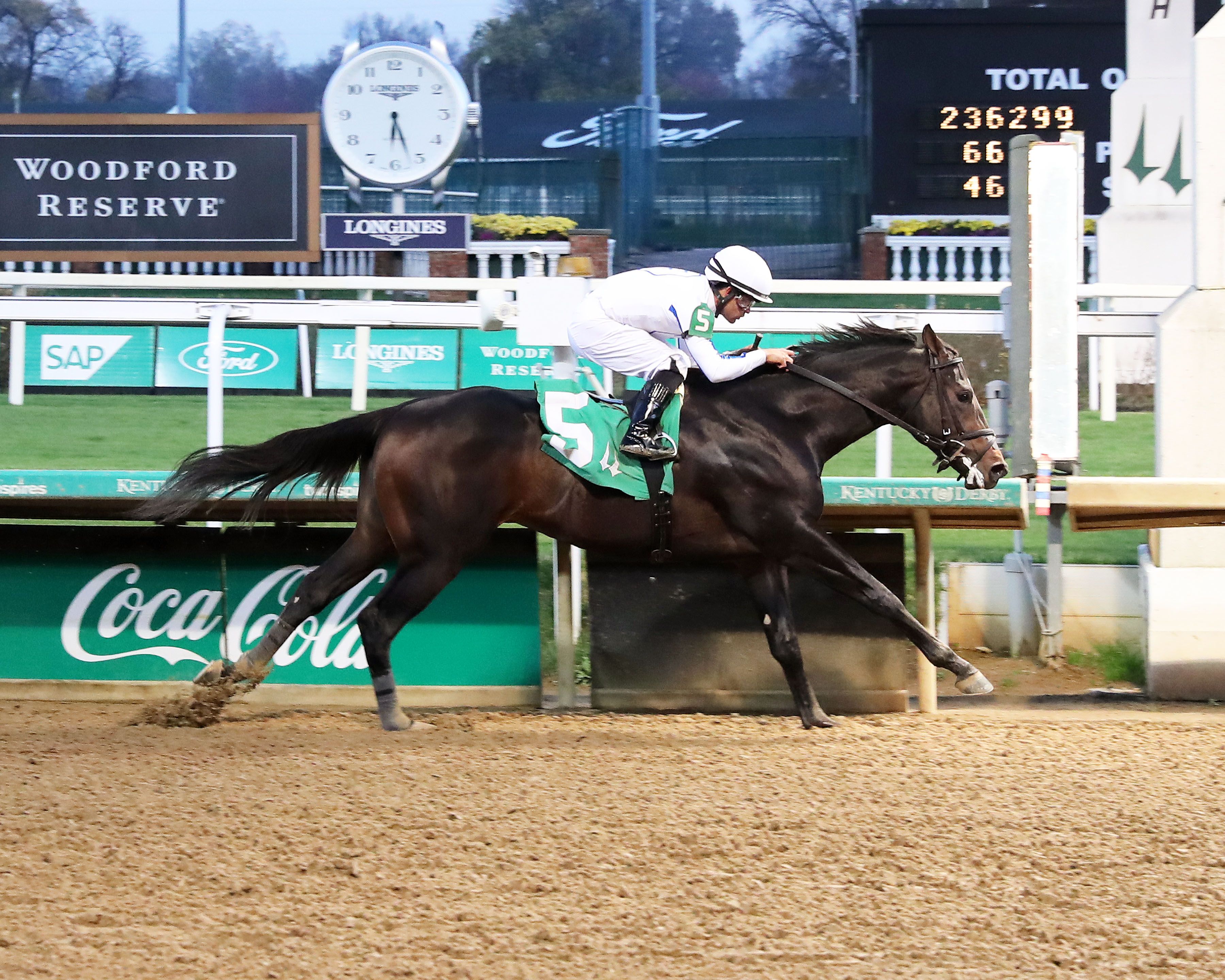 Mob winning a Churchill Downs maiden special weight
