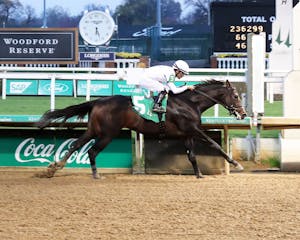 Mob winning a Churchill Downs maiden special weight