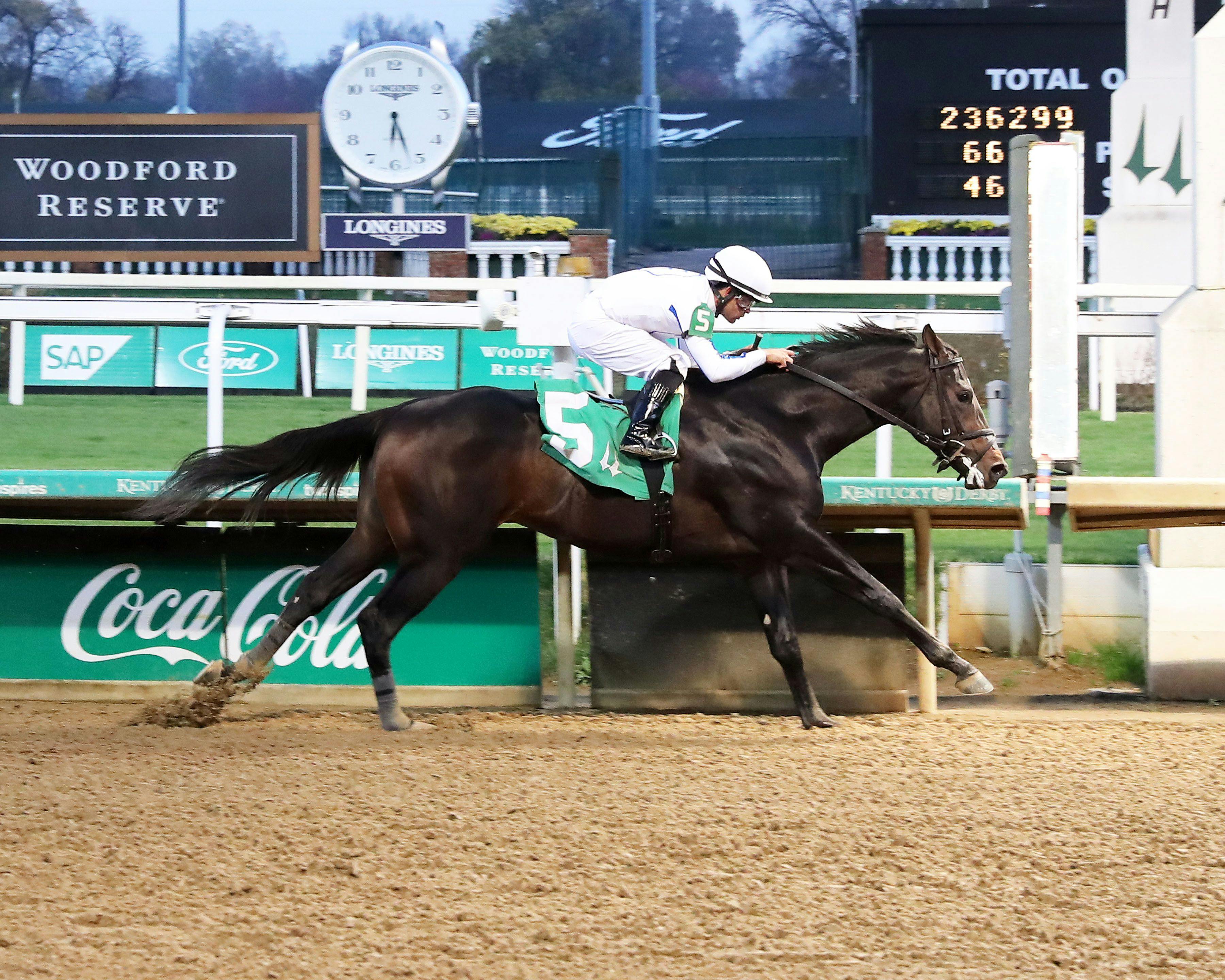 Mob winning a Churchill Downs maiden special weight