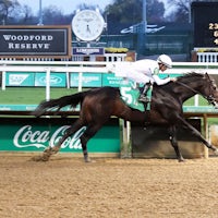 Mob winning a Churchill Downs maiden special weight