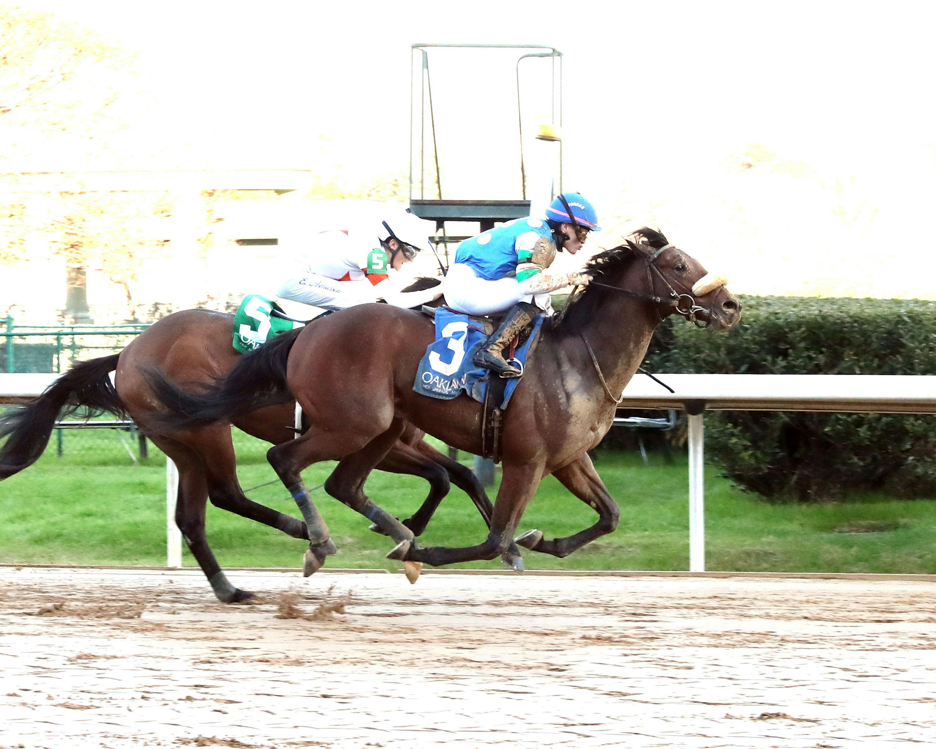 Monet's Magic wins at Oaklawn Park.