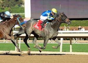 Madaket Road wins at Santa Anita.