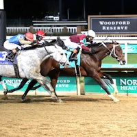 Magnitude battles to a new career high in the Clark (G2)