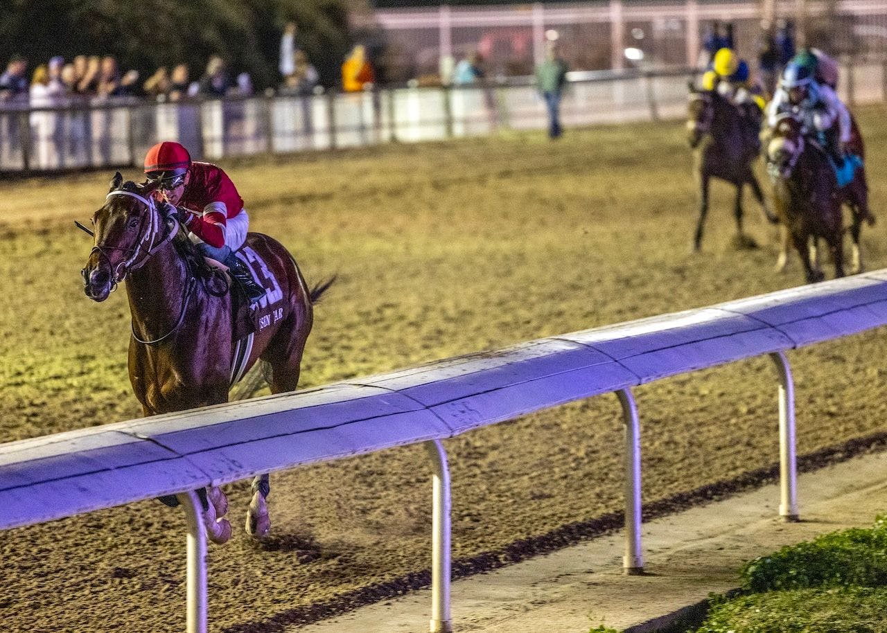 Magnitude wins the Risen Star at Fair Grounds. 