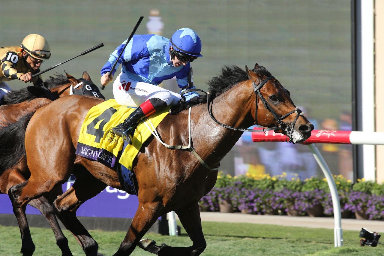 Magnum Force wins the Breeders' Cup Turf Sprint at Del Mar.