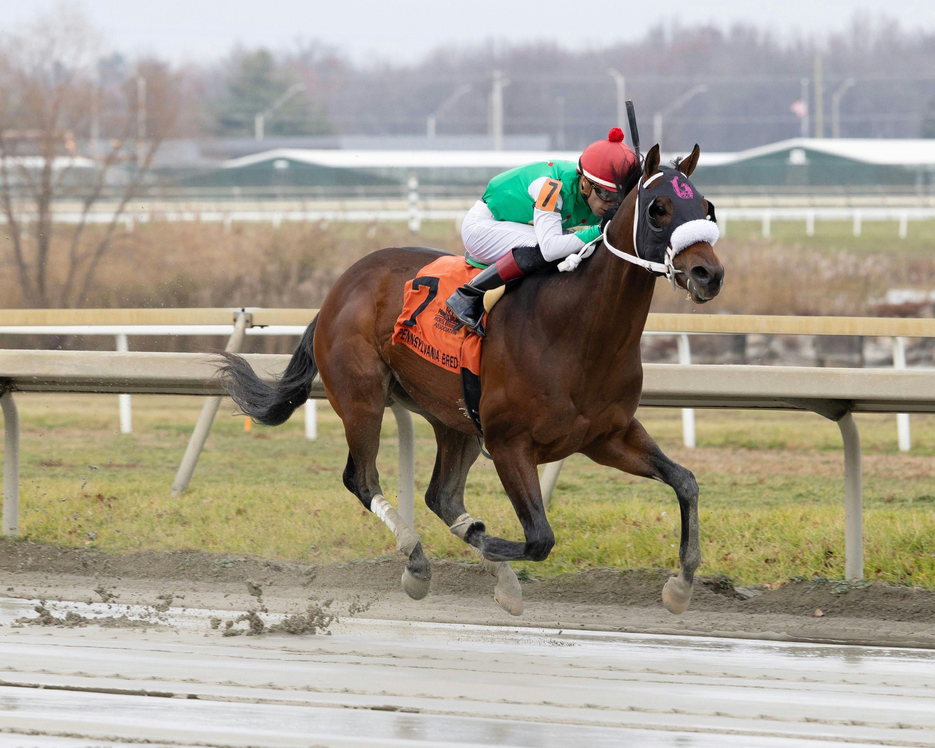 Mailata wins the Pennsylvania Nursery Stakes at Parx Racecourse. 