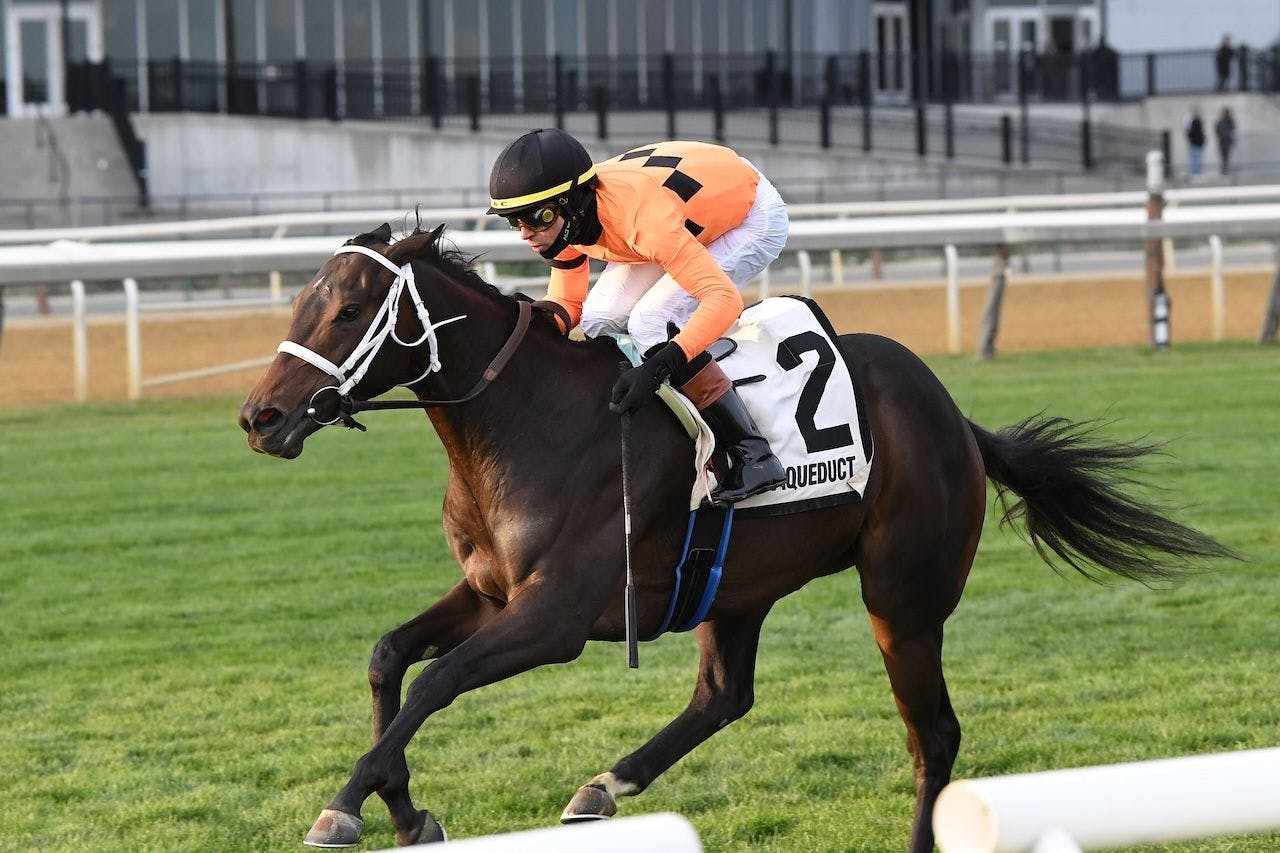 Map of the Moon wins the Stewart Manor Stakes at Aqueduct.