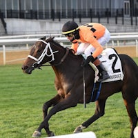 Map of the Moon wins the Stewart Manor Stakes at Aqueduct.