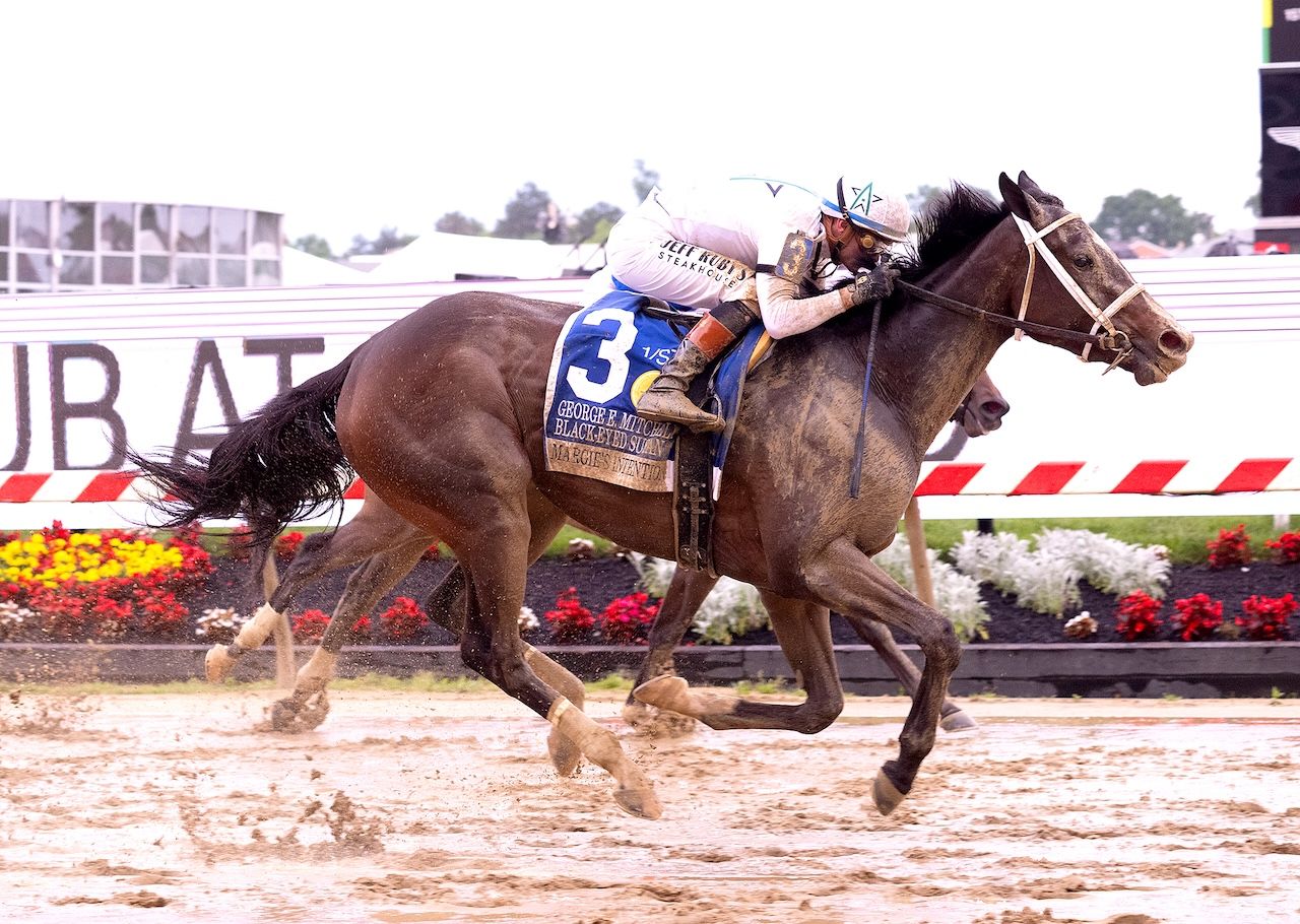 Margie's Intention wins the Black Eyed Susan at Pimlico Park. 