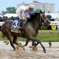 Margie's Intention wins at Pimlico.
