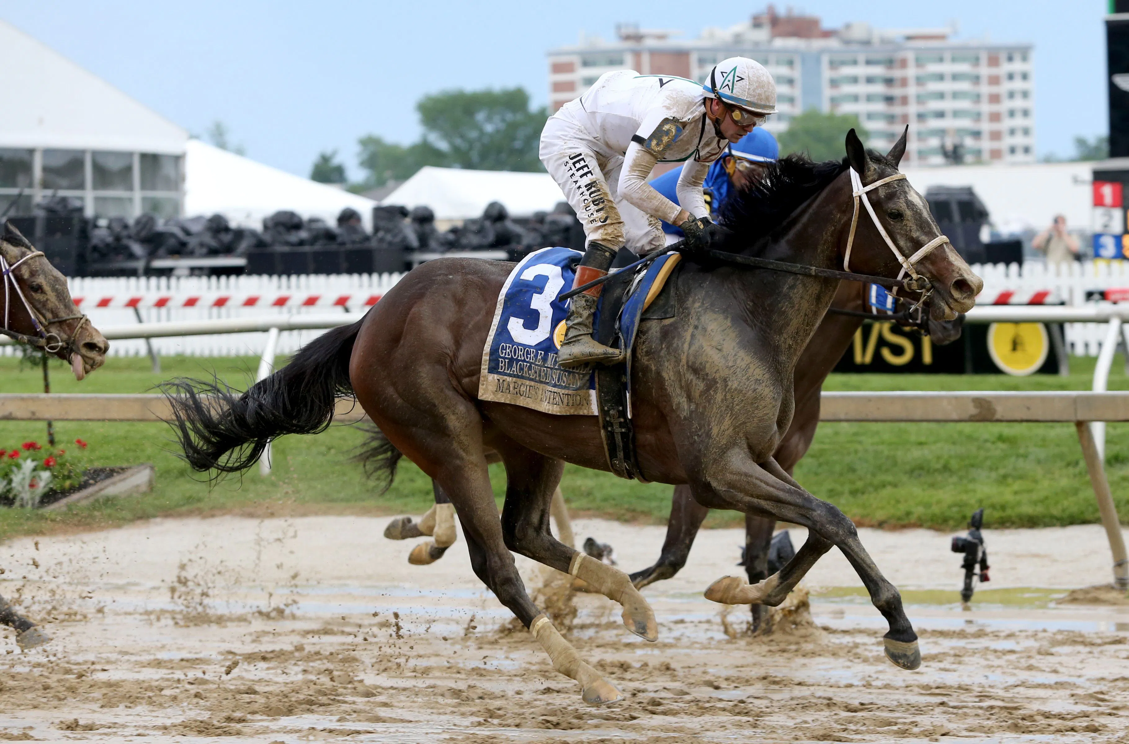 Margie's Intention wins at Pimlico.