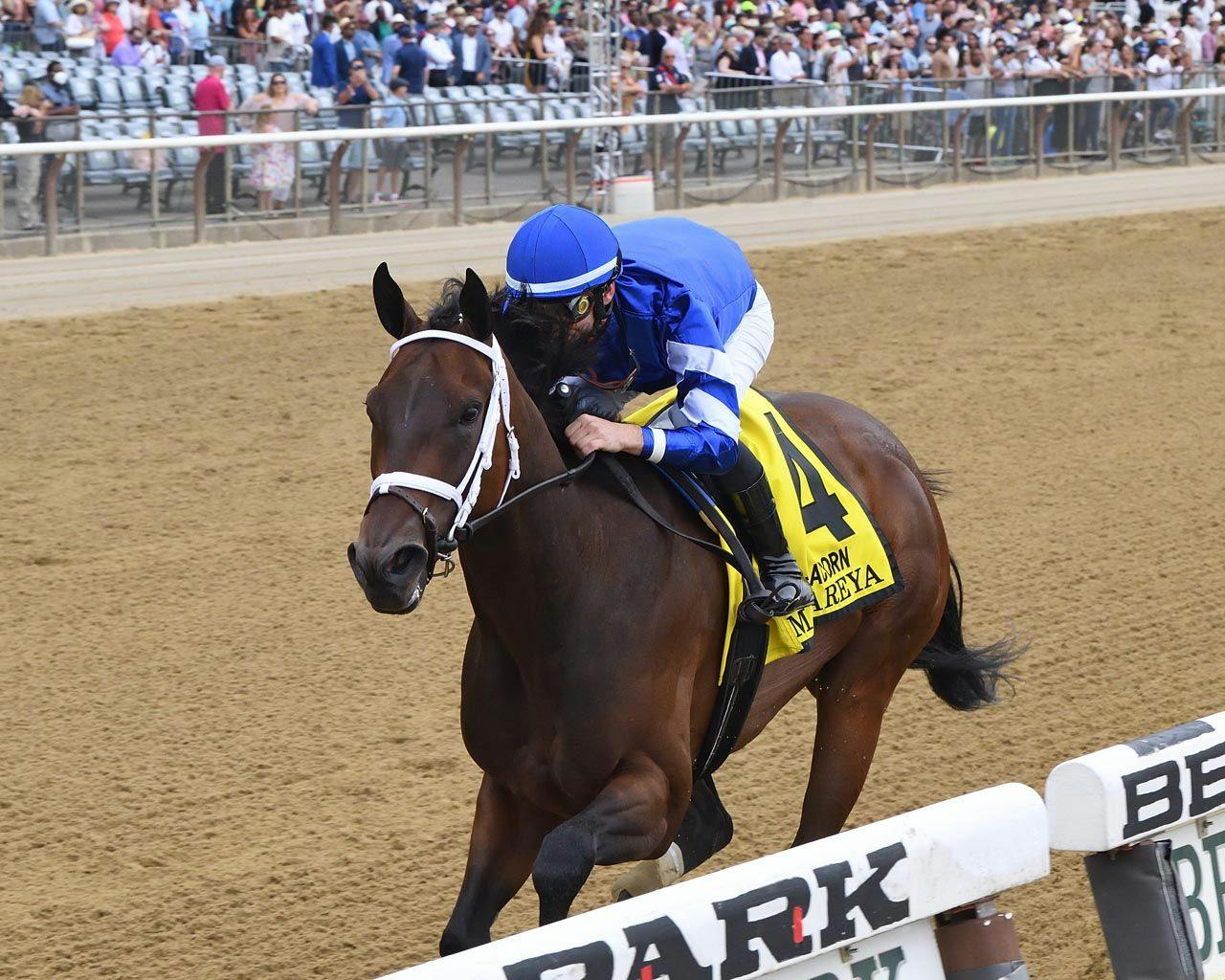 Matareya wins the Acorn Stakes (Photo by Chelsea Durand/Coglianese Photos)