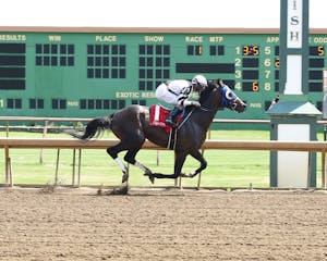 Maximum Promise wins at Ellis Park.