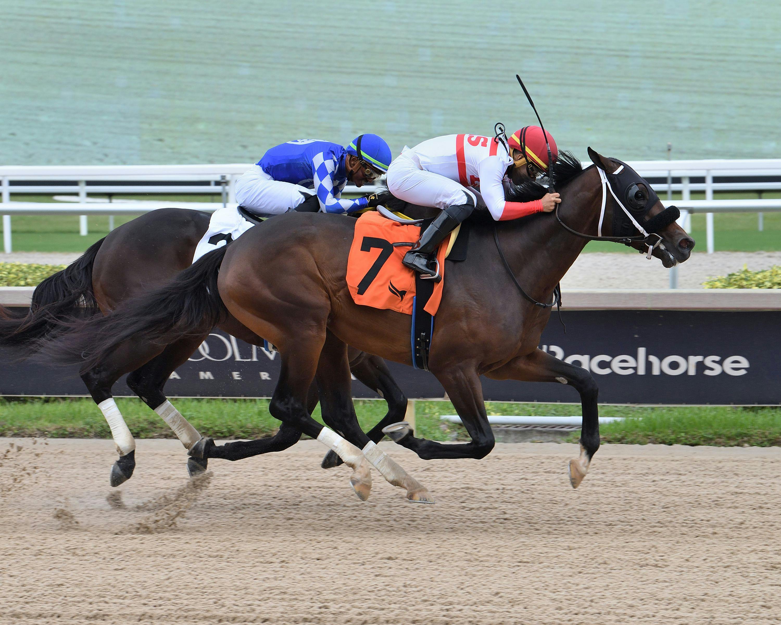 McKellen wins at Aqueduct. 