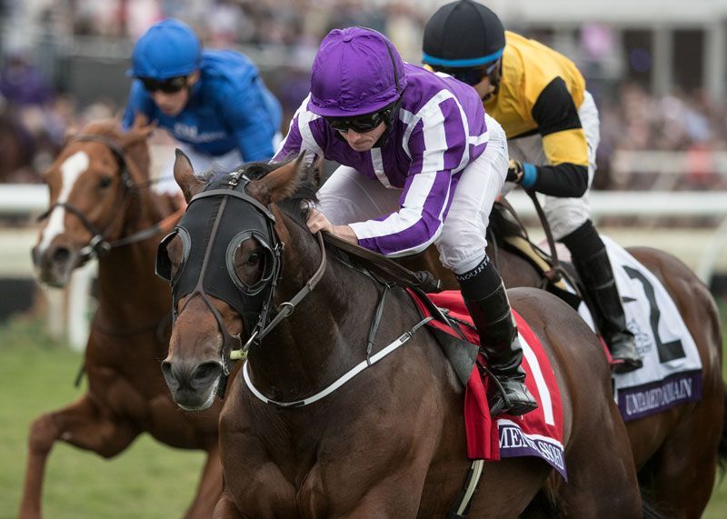 First-Crop Sires Update: Mendelssohn Progeny Start Strongly | TwinSpires