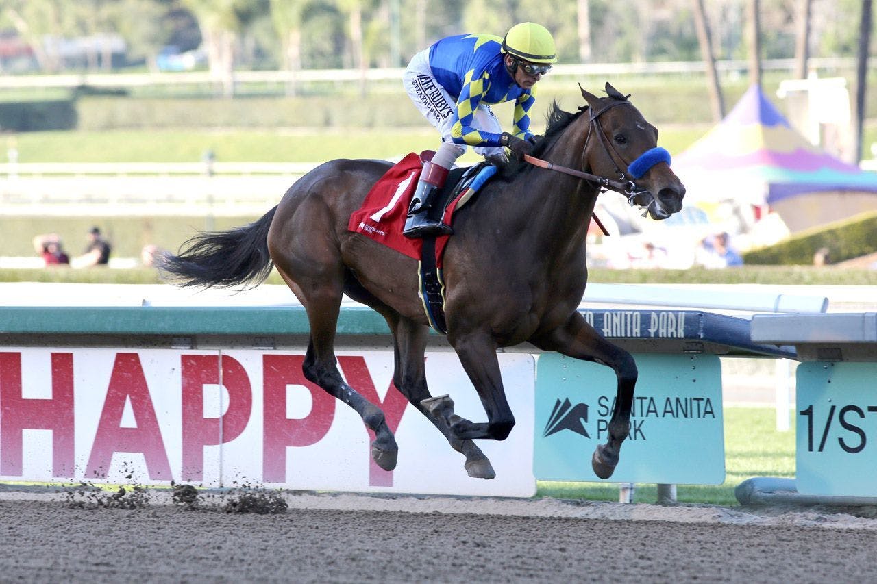 Messier Kentucky Derby contender profile TwinSpires