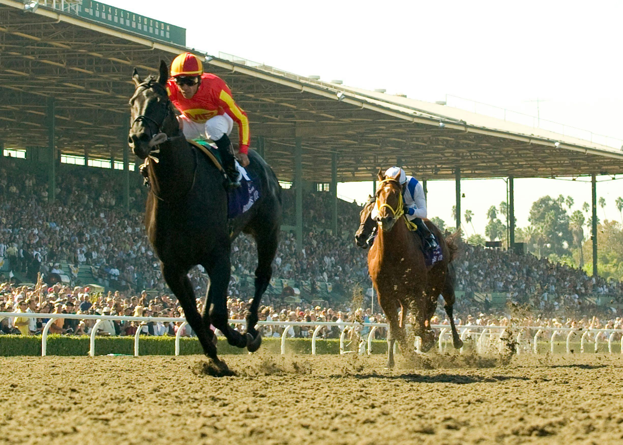 History's Top 10 Breeders' Cup Sprint performances TwinSpires