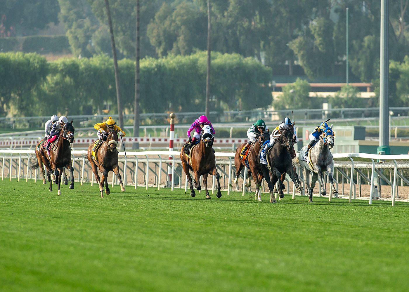 Motorious winning the 2024 Joe Hernandez (G2)