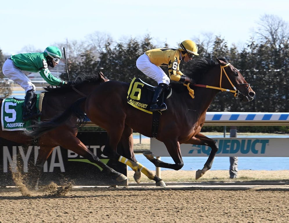 Tipsheet 2023 Wood Memorial Stakes TwinSpires