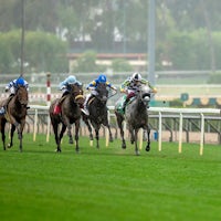 Mrs. Astor wins the Santa Barbara Stakes at Santa Anita.