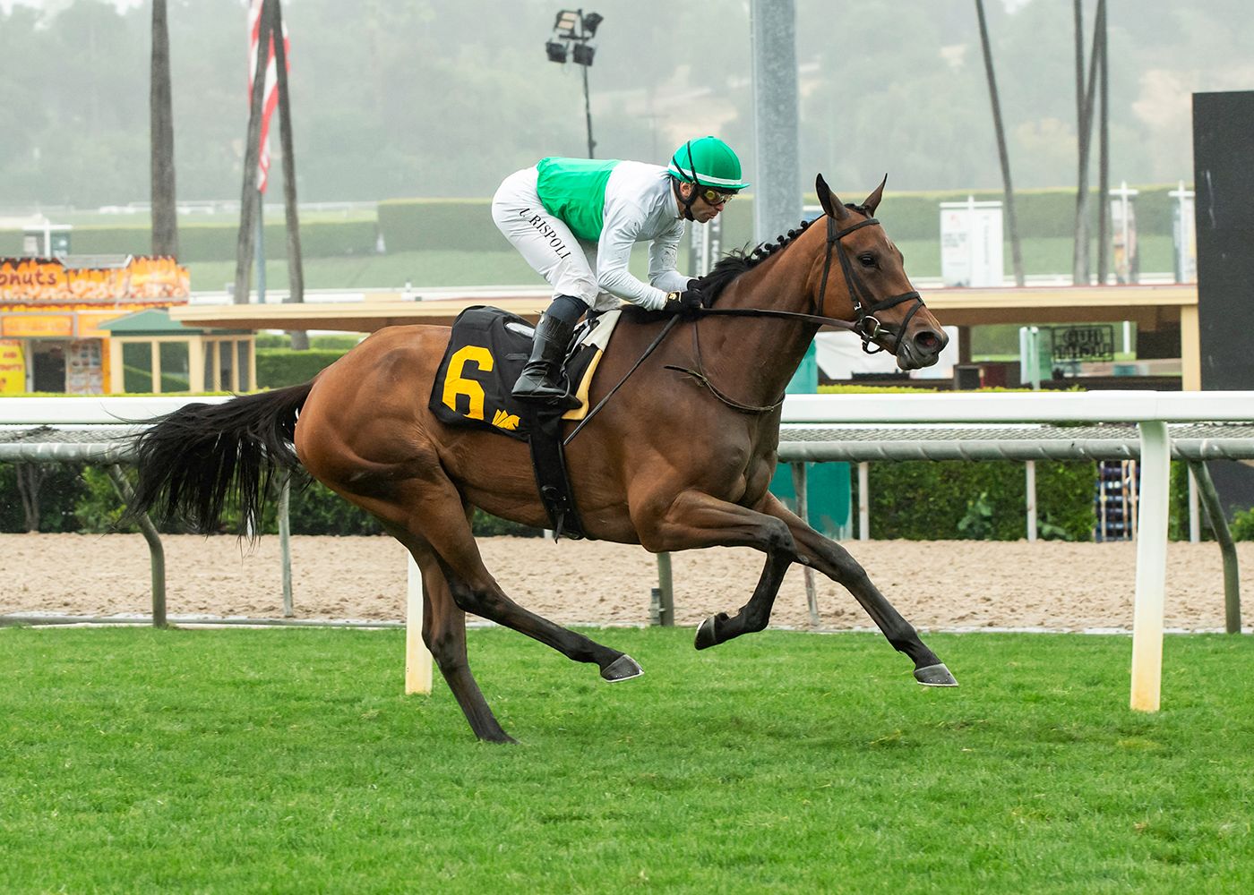 Mrs. Astor wins the Santa Barbara Stakes at Santa Anita. 