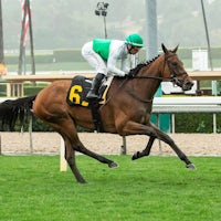 Mrs. Astor wins the Santa Barbara Stakes at Santa Anita.