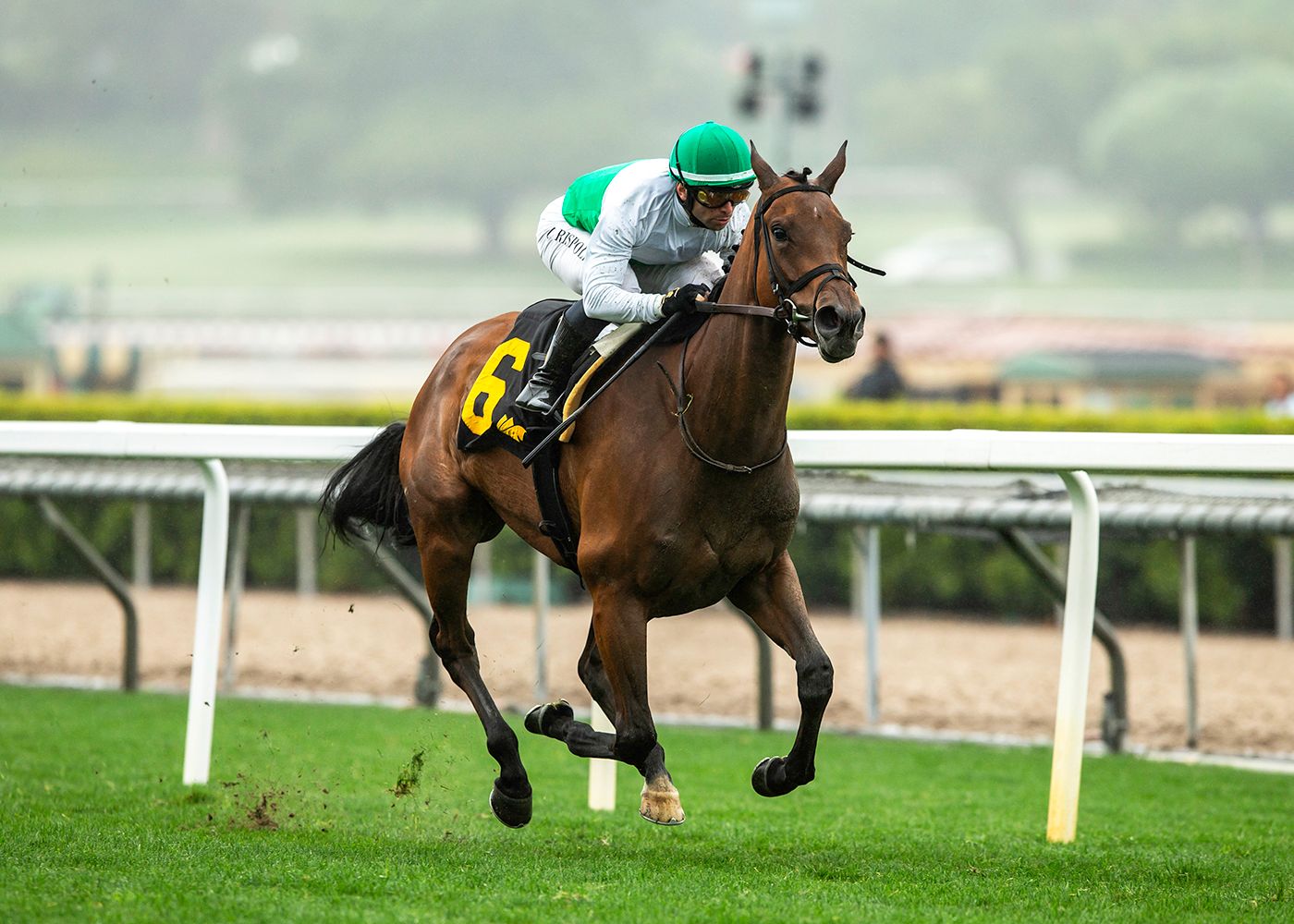 Mrs. Astor wins the Santa Barbara Stakes at Santa Anita. 