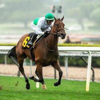 Mrs. Astor wins the Santa Barbara Stakes at Santa Anita.