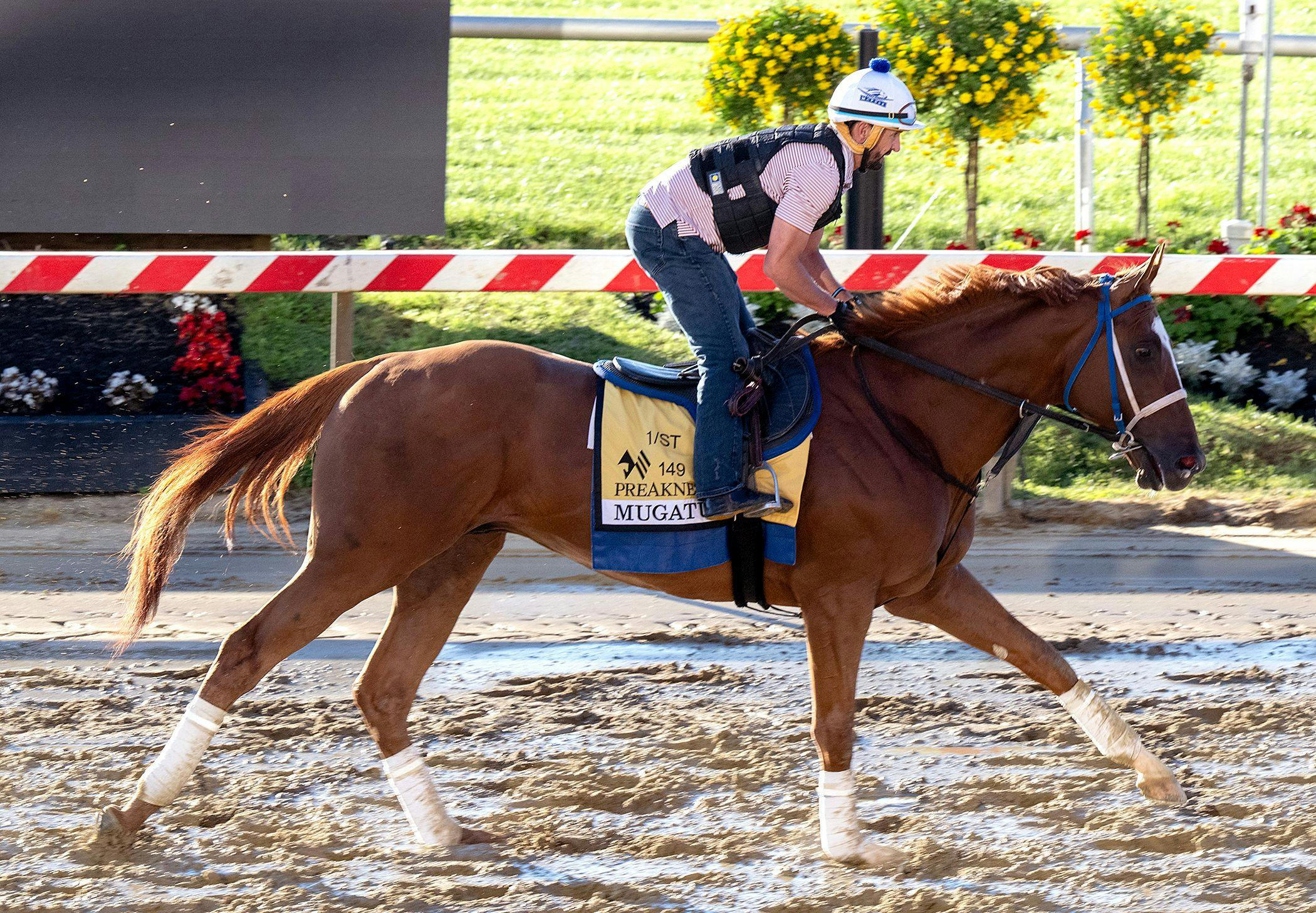 2024 Preakness Picks Predictions & Odds for All Horses TwinSpires