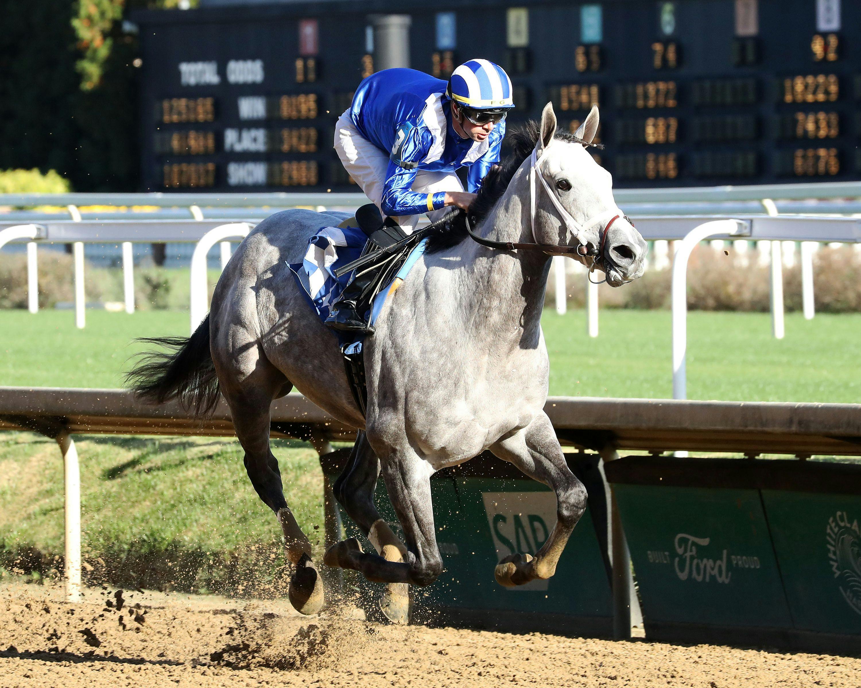 Muhimma wins at Churchill Downs.