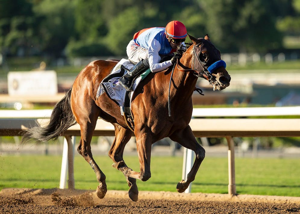 How to bet the 2024 San Vicente Stakes TwinSpires
