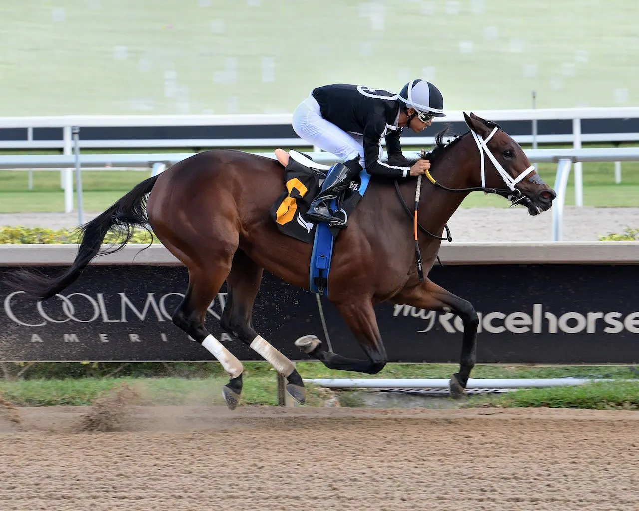 My Miss Mo wions at Gulfstream Park. 