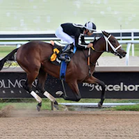 My Miss Mo wions at Gulfstream Park.