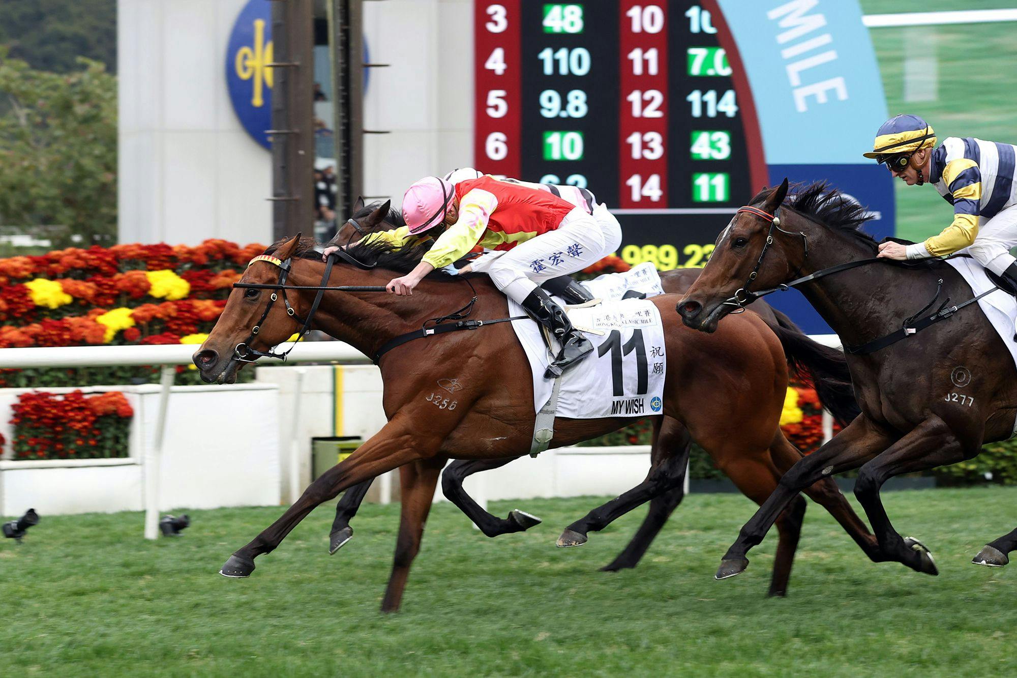 My Wish wins the 2025 Hong Kong Classic Mile (Photo by Hong Kong Jockey Club)