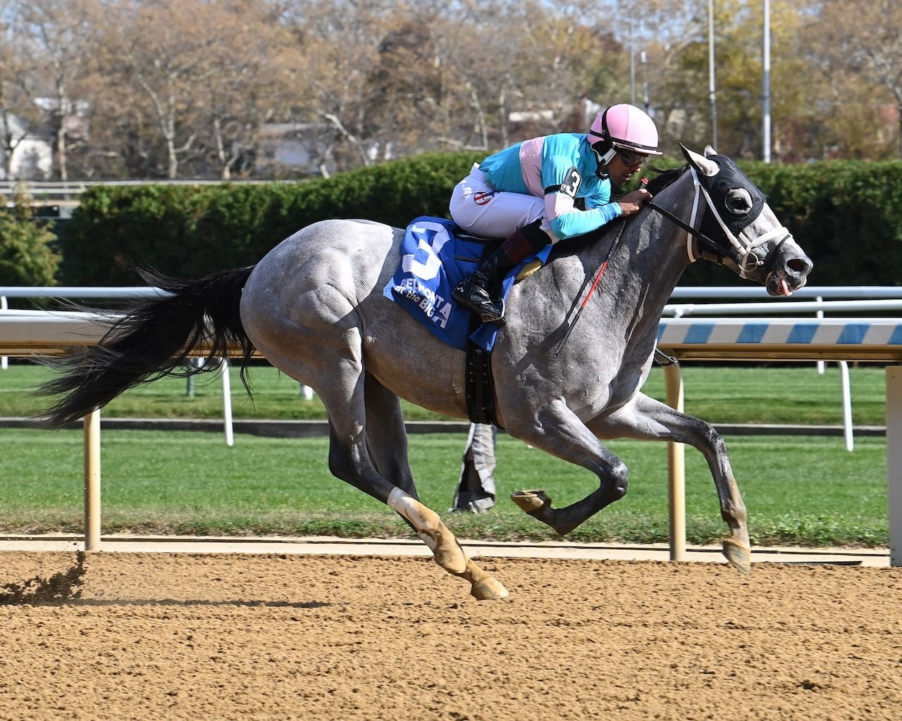 My World wins the Nashua Stakes at Belmont at the A.