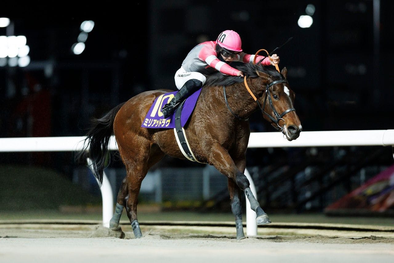 Myriad Love winning the Zen-Nippon Nisai Yushun (Photo courtesy of Ken Hashimoto)