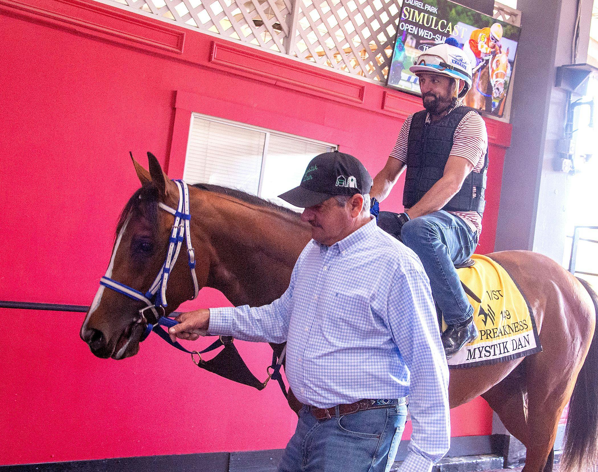 Mystik Dan (Photo by Jim McCue/Maryland Jockey Club)